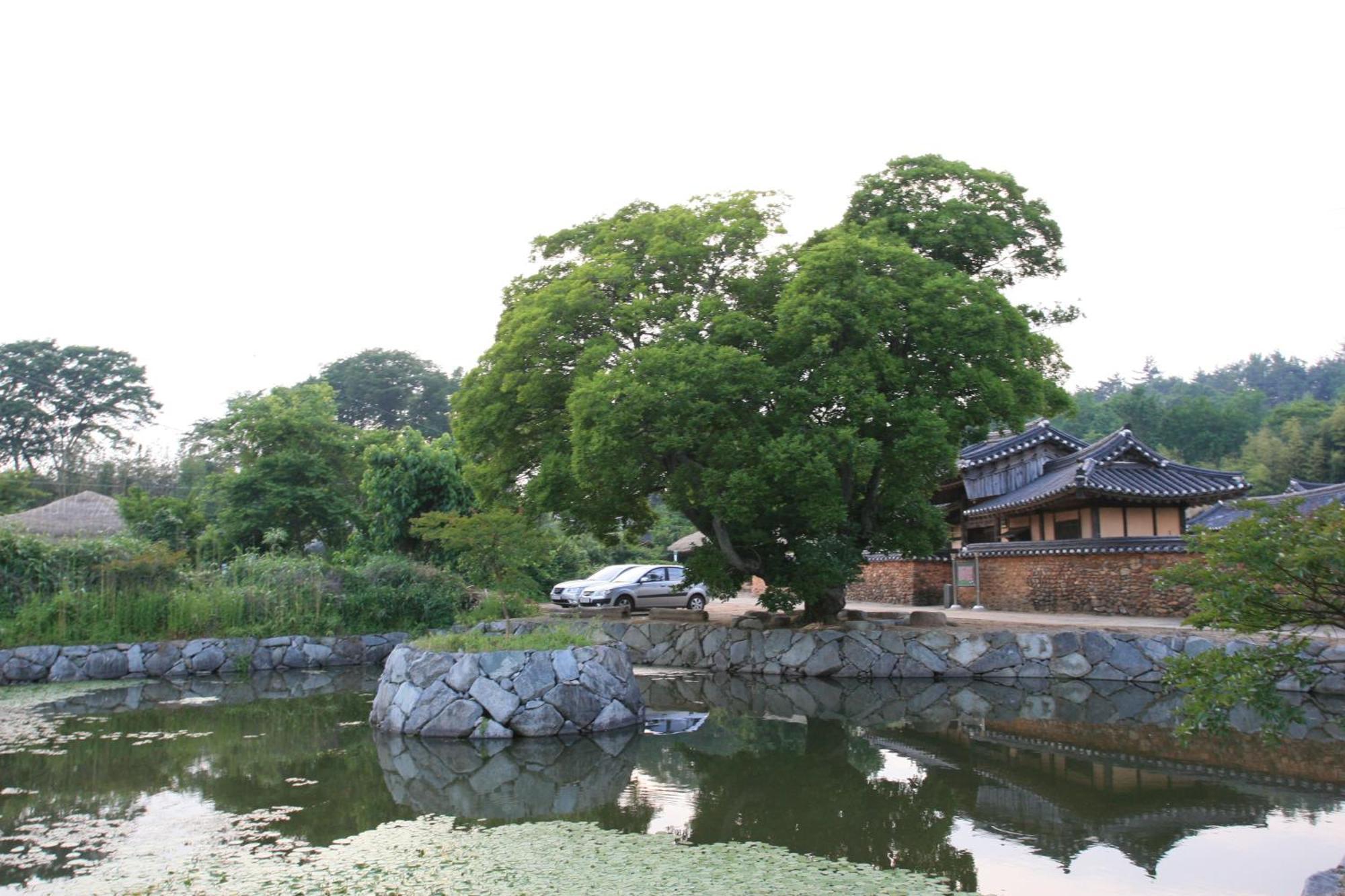 Jinrae Lee'S Traditional House Boseong Zewnętrze zdjęcie